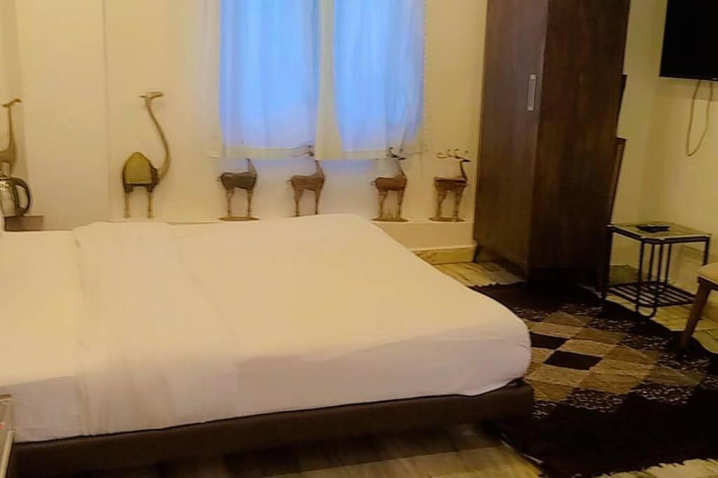 Valley Nest For 6-12 Pax Mount Abu Εξωτερικό φωτογραφία